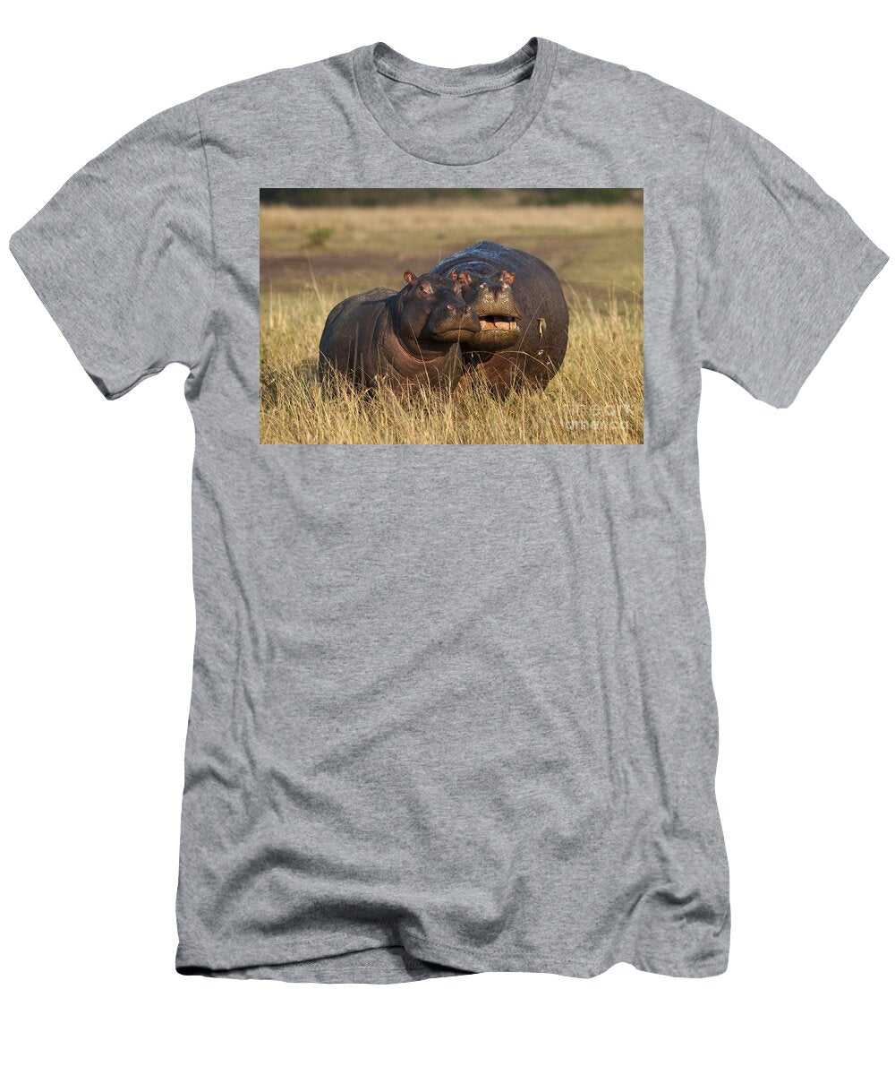 1 Hippo Cow and Calf John Shaw T-Shirt