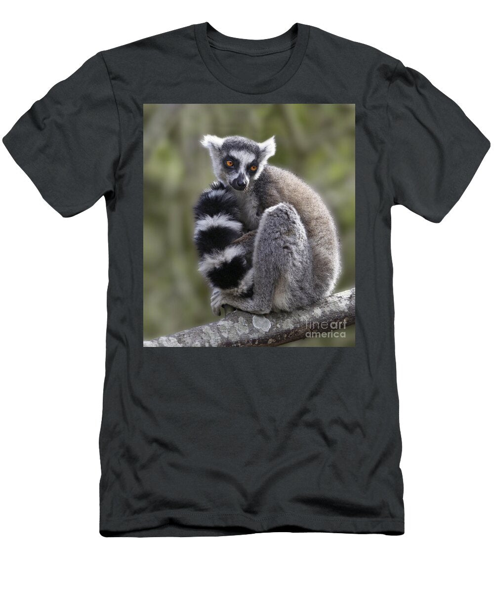 3 Ring Tailed Lemur Liz Leyden T-Shirt