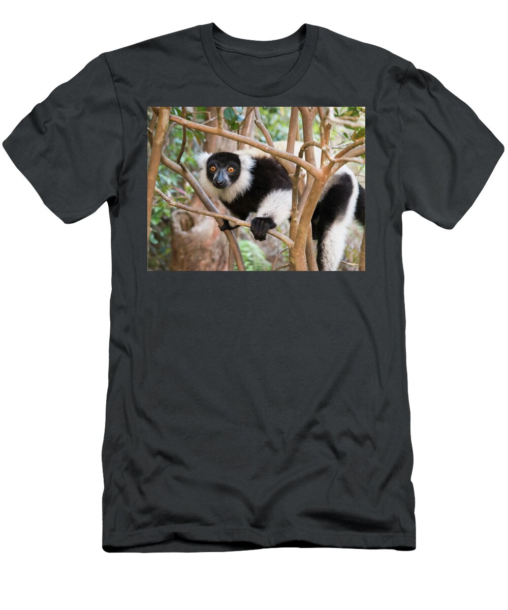 Fruit Inspector Alex Lapidus T-Shirt