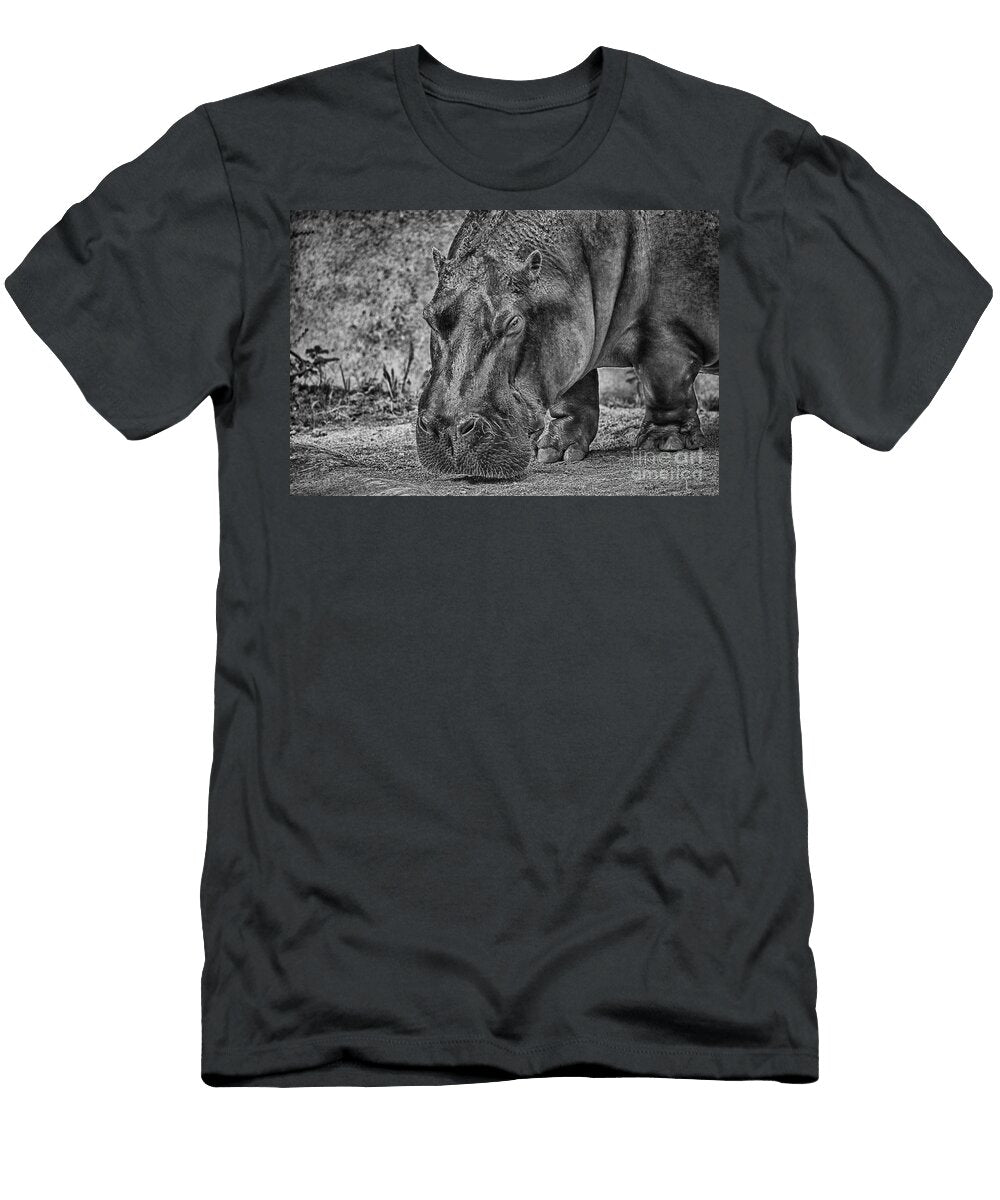 Hippo Black and White Douglas Barnard T-Shirt
