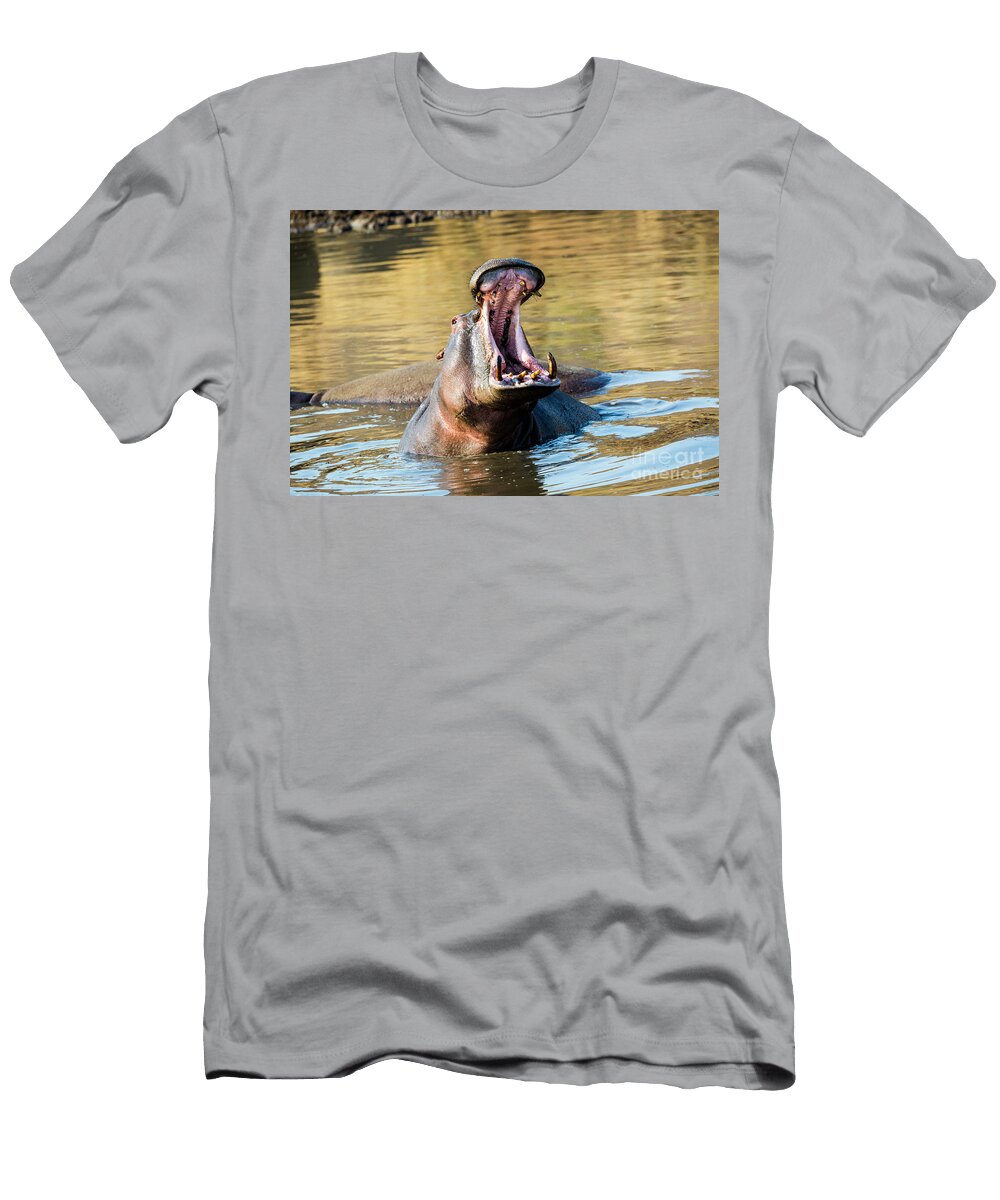 Hippo Power Play Daryl L Hunter T-Shirt