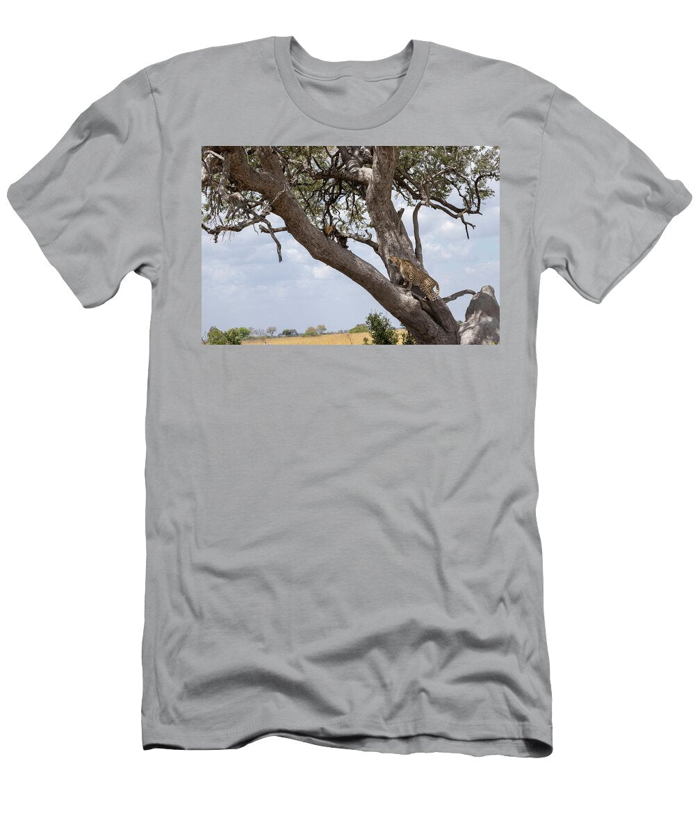 Hungry Male Cheetah Climbing Tree to Check Remains of Kristel Richard Natureplcom T-Shirt