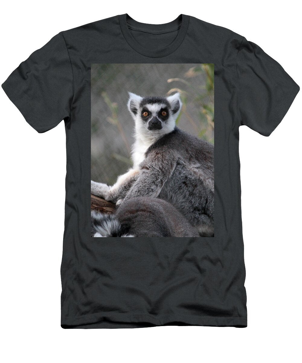 Lemur Dwight Cook T-Shirt