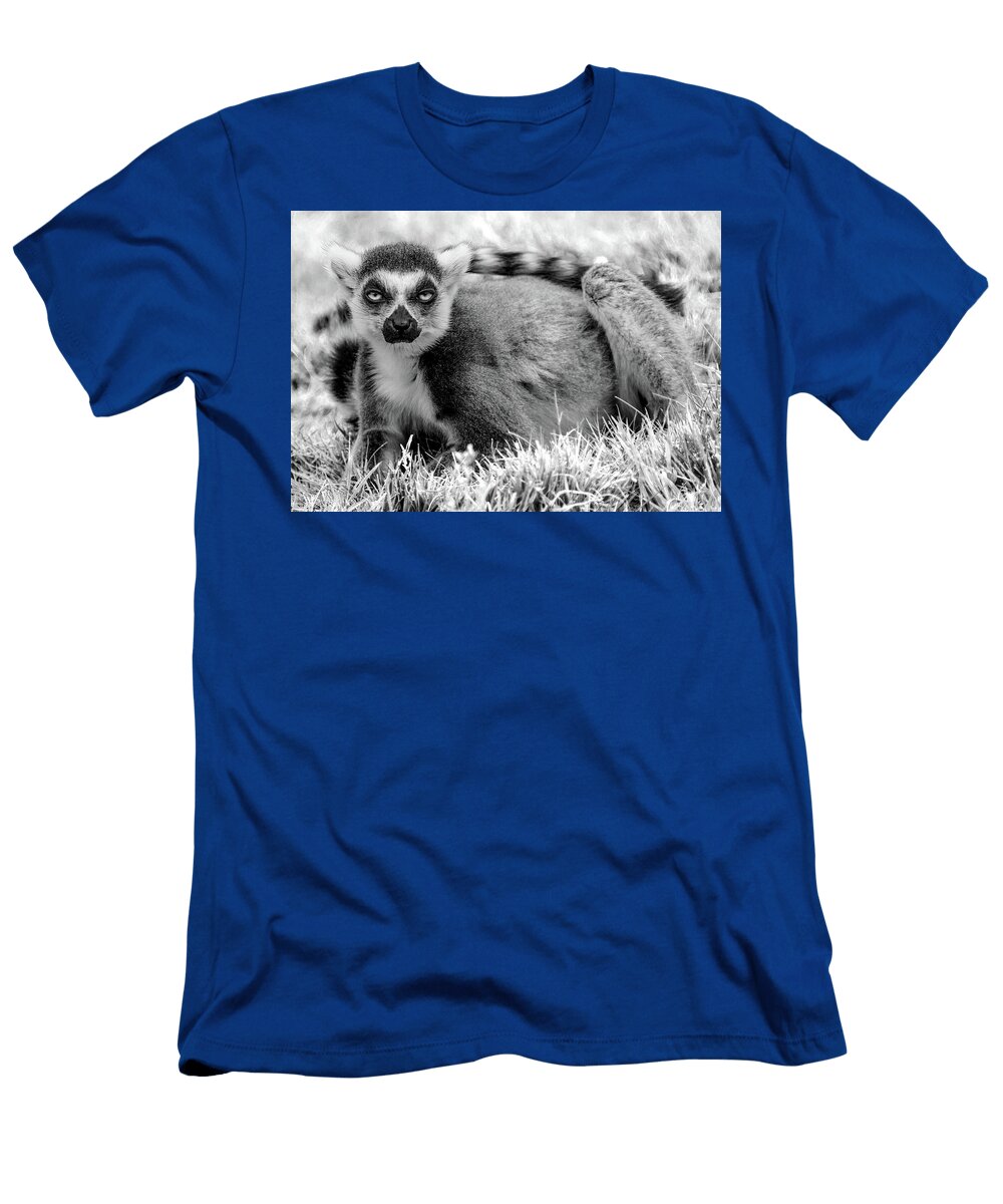 Lemur Ed James T-Shirt