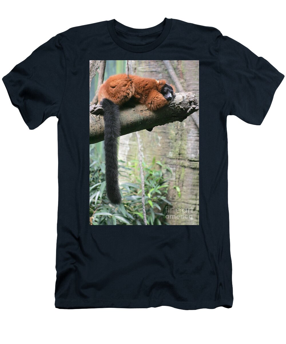 Lemur Felix Andreoni T-Shirt