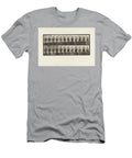 Plate 741 Bactrian Camel a Walking B Racking 1885 Collotype on Paper Eadweard Muybridge T-Shirt