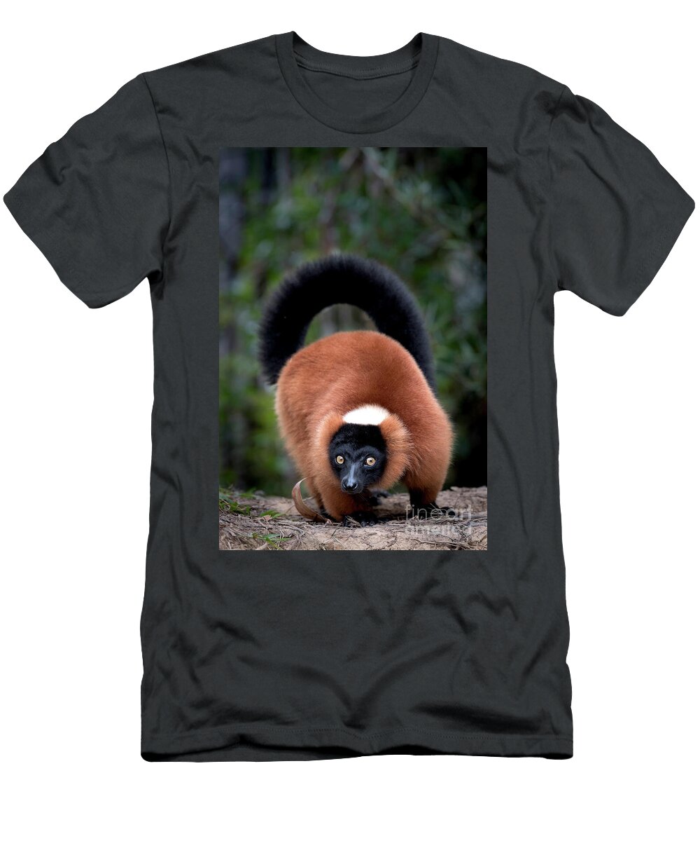 Red Ruffed Lemur Tony Camacho T-Shirt