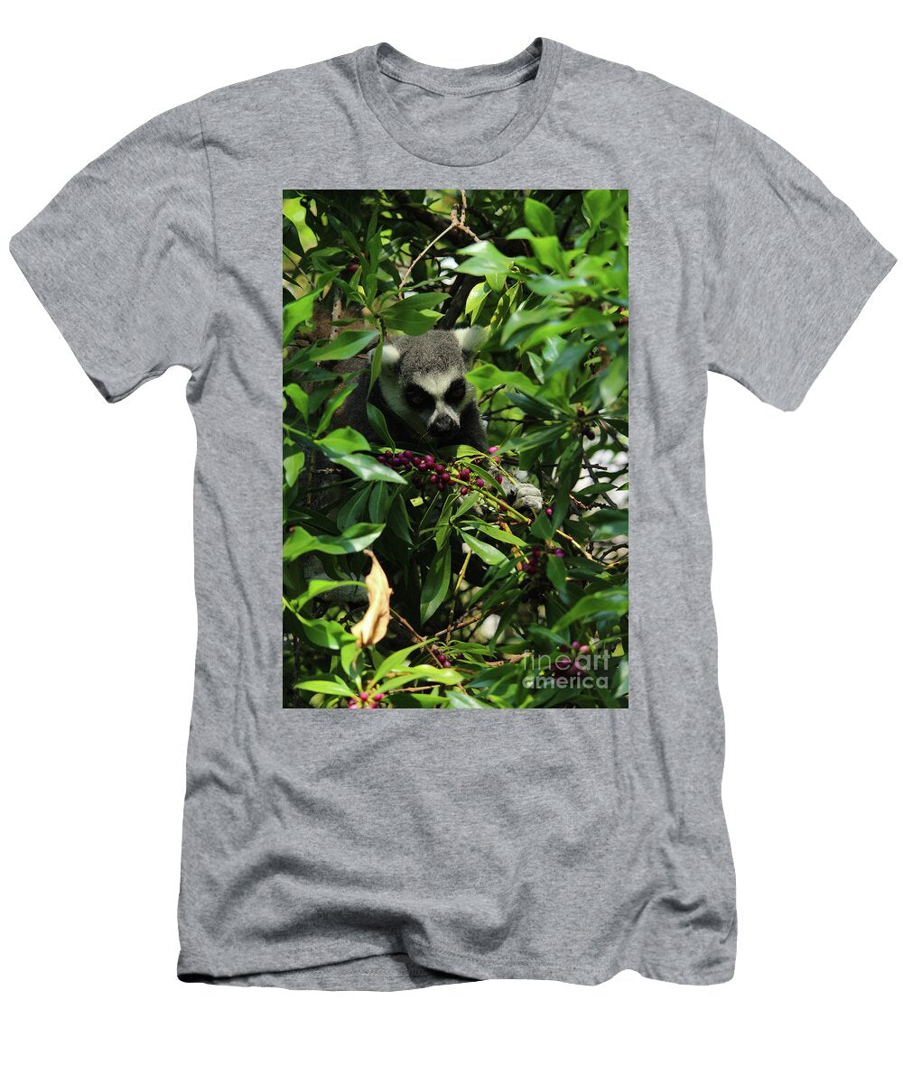Ring Tailed Lemur Berries Valencia Eddie Barron T-Shirt