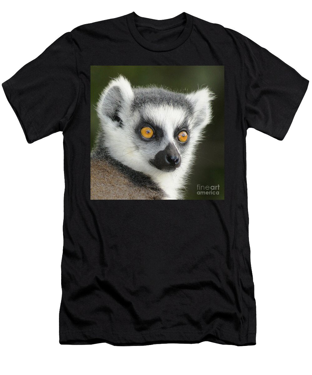 Ring Tailed Lemur Madagascar 5 Rudi Prott T-Shirt