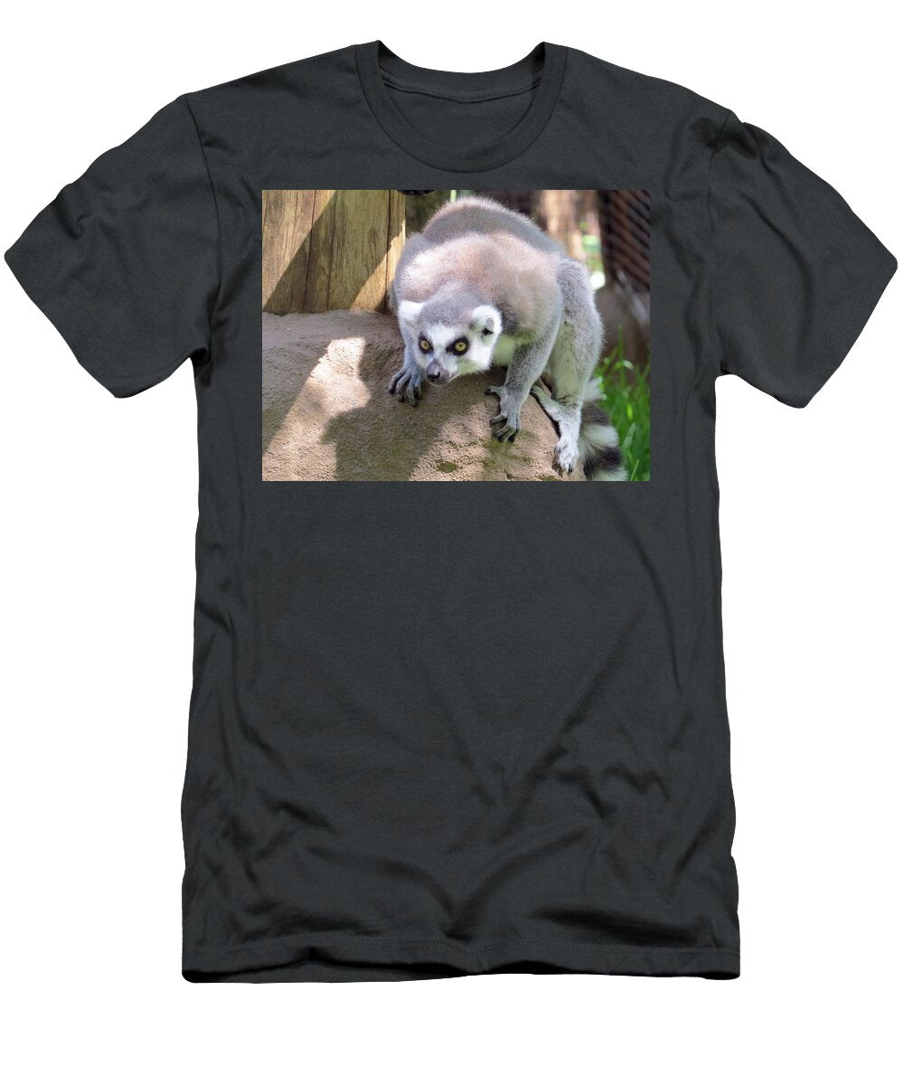 Ring Tailed Lemur Poised Menacingly Jessica Foster T-Shirt