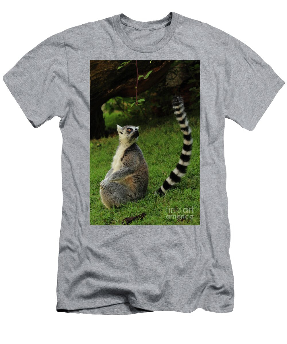 Ring Tailed Lemur Valencia Eddie Barron T-Shirt
