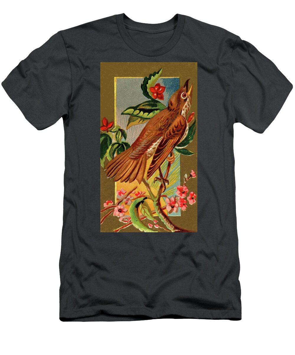 Wood Thrush Vintage Animal Illustration Picked and Shared T-Shirt