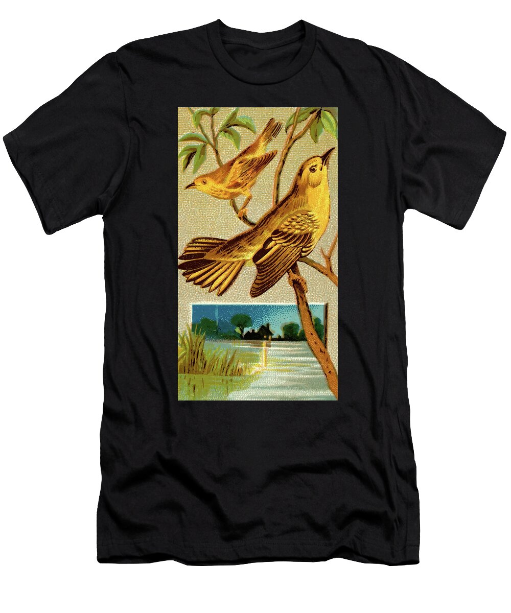 Wood Warbler Vintage Animal Illustration Picked and Shared T-Shirt